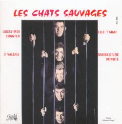 Les Chats Sauvages : Laisse-moi chanter